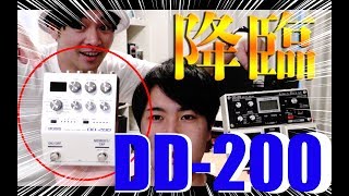 【レビュー】BOSS DD-200 小さくて最強のディレイ登場！！