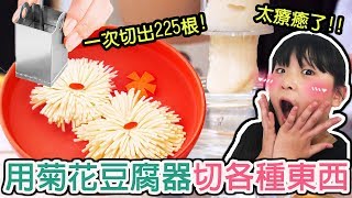 【開箱】菊花豆腐器切各種東西都能成功嗎?[NyoNyoTV妞妞TV玩具]