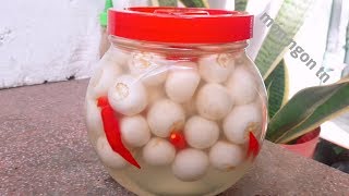 Cách muối Cà Pháo Trắng giòn mà để được lâu đơn giản và dễ làm