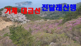 거제 대금산 진달래산행