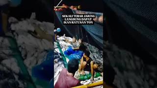 REJEKI NELAYAN, HANYA SEKALI TEBAR JARING,  #nelayanikan #viralshorts #trendingvideo