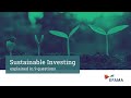 Sustainable investing explained in 9 questions