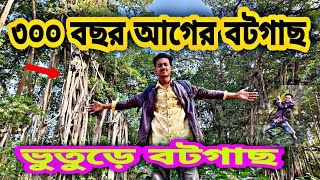 এশিয়ার বৃহত্তম বটগাছ | the largest banyan tree in asia | মেহেরপুর জেলার ভুতুড়ে বটগাছ