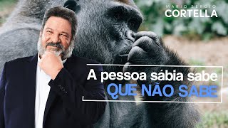 Mario Sergio Cortella - A pessoa sábia sabe que não sabe