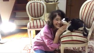 猫に嫌がられながら知床旅情歌ってみた