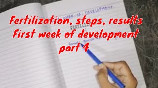 Fertilization, steps, results( part 1).. First week of development part 4 #embryology