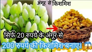 Homemade Kishmish|किशमिश बनाएँ अब आसानी से घर पर बिलकुल बाज़ार जैसी | How to make Raisins at Homel