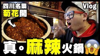 【Vlog】挑戰四川名菜『菊花開』正宗麻辣火鍋原來係咁樣？