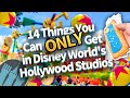 14 Things You Can ONLY Get in Disney World's Hollywood Studios