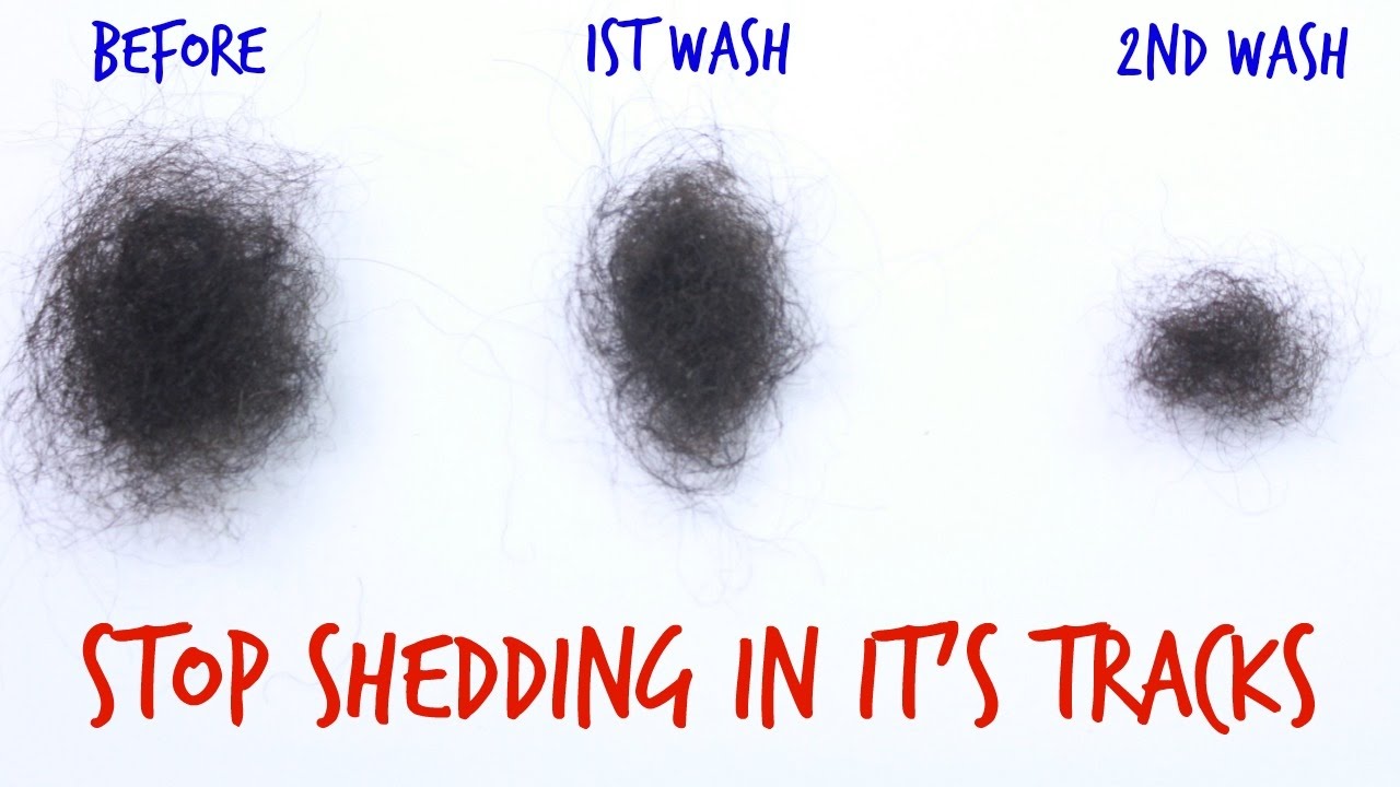 Instantly Stop Hair Shedding & Breakage - YouTube