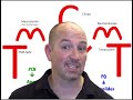 panre understanding antibiotics for the pance panre