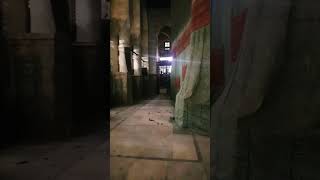 Inside Roza Rasool View Masjid Nabawi Madina Sharif #shorts #ytshorts #madina