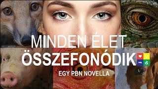 Minden élet összefonódik - Egy PBN novella - 2017