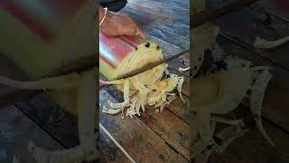 #viralvideo #satisfying #nature #agrilife #farmerslife #farminglife #banana #agricuture #shorts #yt