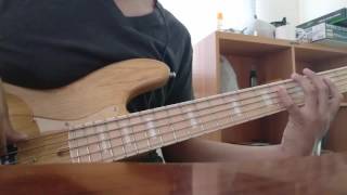 Toconoma seesaw walking bass cover