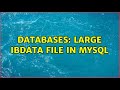 Databases: Large ibdata file in MySQL (2 Solutions!!)