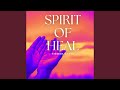 Spirit Of Heal