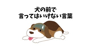 犬の前で言ってはいけない言葉