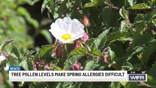 UW Health experts warn severe allergy symptoms