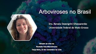 Arboviroses no Brasil