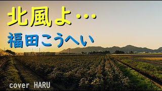 新曲「北風よ…」福田こうへい　cover HARU