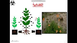 العلاقات المتبادلة