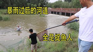 暴雨過後的河道魚兒和小龍蝦氾濫，擁出大批村民捕撈，場面壯觀【兩個麻瓜】