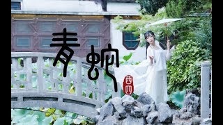 【西四❀中国风】青蛇『泪沾青衣诉塔前，我似等待了千年』