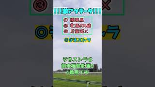 【クイーンステークス2023】激アツデータ予想！【ぷるるん競馬】#Shorts