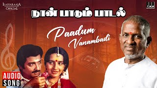 Paadum Vanambadi Song | Naan Paadum Paadal Movie | Ilaiyaraaja | Mohan | Sivakumar | Ambika | SPB