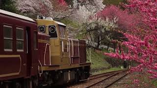 トロッコわたらせ渓谷号　神戸駅　2023.4.2