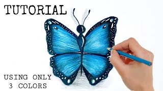 How To Draw A Butterfly | Colored Pencil Drawing For Beginners