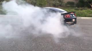 2014 Ford Mustang 5.0 burnout