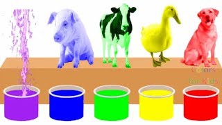 Farm Animals Bathing Colors Fun | Learn Colors for Children Kids Toddlers To Learn With Animals