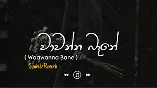 Wawanna Bane - වාවන්න බැනේ (Slowed+Reverb)