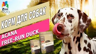 Корм для собак Акана Фри-ран Дак | Обзор Корма Акана | Acana Free-run Duck review