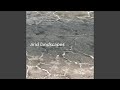 Weathered