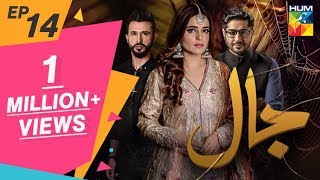 Jaal Episode #14 HUM TV Drama 31 May 2019