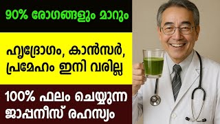 ഇനി ധൈര്യമായി കഴിക്കാം, രോഗങ്ങൾ വരില്ല, ആയുസ്സ് കൂടും |  Secret of Japanese's health and longevity