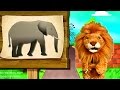 Los niños conocen El Elefante - Animales del Zoo con Lorenzoo - Videos Educativos para Niños