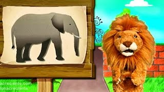 Los niños conocen El Elefante  - Animales del Zoo con Lorenzoo - Videos Educativos para Niños