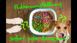 Futterumstellung beim Hund - so geht's / Hundeernährung / Hundefutter / Nature Trails