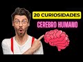 20 Curiosidades sobre el cerebro humano que te dejarán pensando