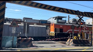 2023/03/05 台鐵 柴電機車頭R163 牽引貨物列車 瑞芳明燈路平交道 通過