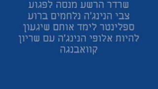 שיר הנושא של צבי הנינג'ה + מילים..