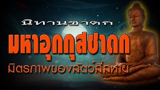 มหาอุกกุสชาดก : นิทานชาดก เรื่อง มิตรภาพของสัตว์สี่สหาย.