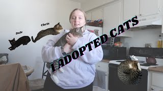 I ADPOTED CATS