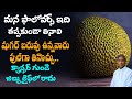 ఇది తింటే బాహుబలి లాంటి శక్తి !! | Jack Fruit Benefits | Dr Manthena Satyanarayana Raju Videos