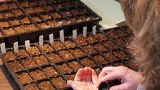 02/13/16 Come Alive Advanced Seed Propagation