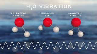 Types of Molecular Vibrations in IR Spectroscopy